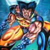 Wolverine claws