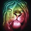 zion lion reggae dreadlock silkscreen t shirt image